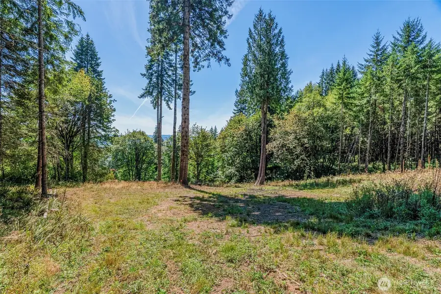 0 Old Tree Farm Drive, Longview, WA 98632 - #3