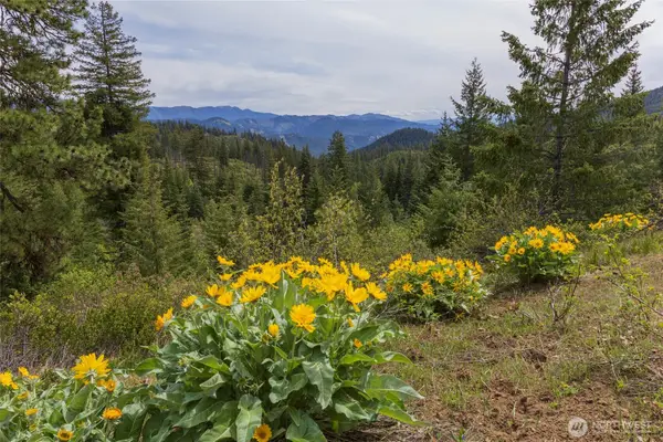 0 Forest Service 6601-550 Rd #B, Leavenworth, WA 98826