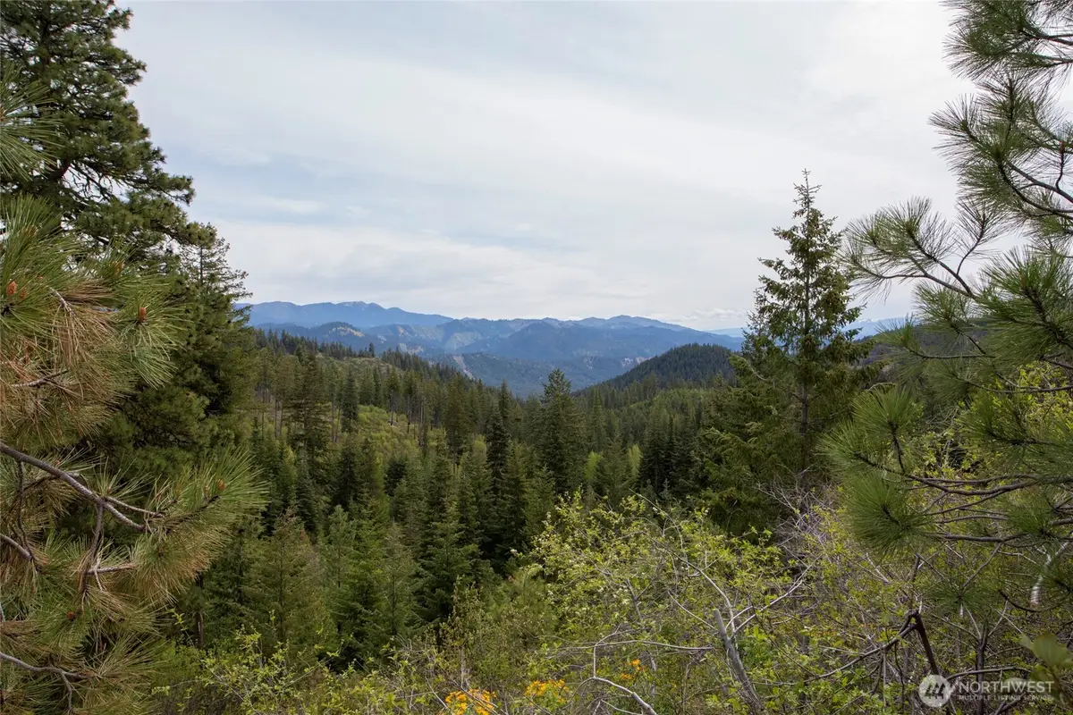 0 Forest Service 6601-550 Rd #C, Leavenworth, WA 98826 - #1
