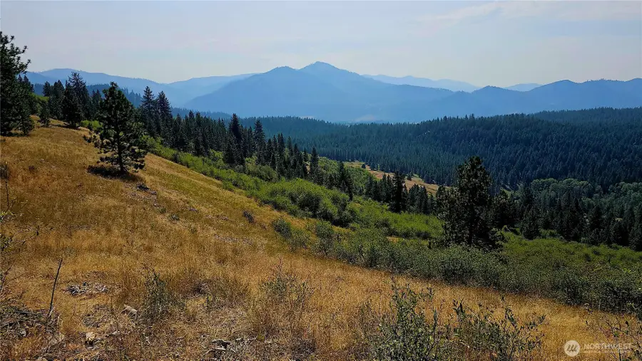 35 Addy Cedonia Road, Hunters, WA 99137 - #2