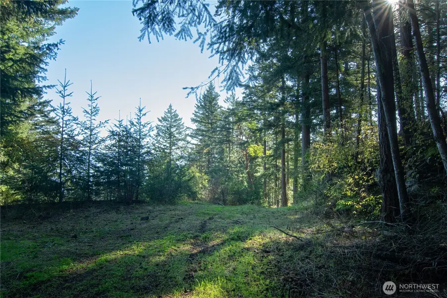 1130 Island Drive, Lummi Island, WA 98262 - #3