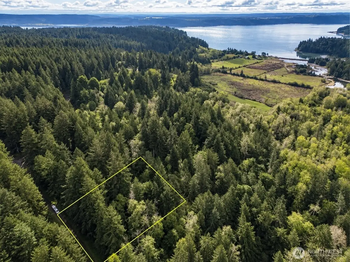 12204 Sound Drive, Anderson Island, WA 98303 - #1