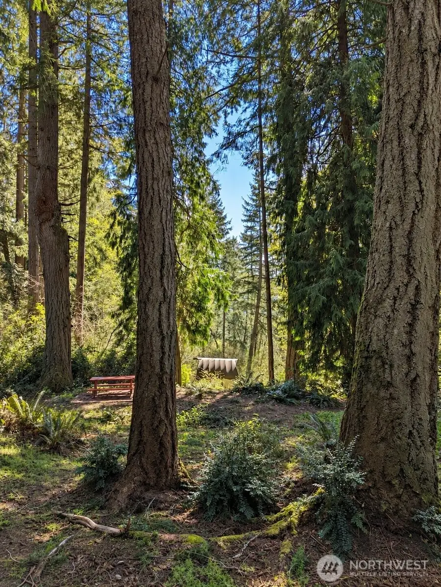 12204 Sound Drive, Anderson Island, WA 98303 - #3