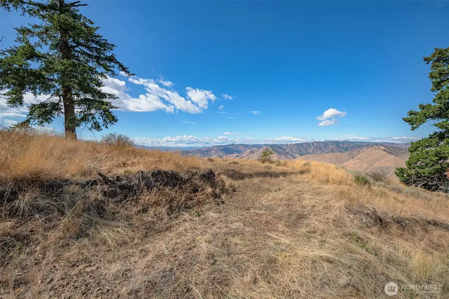 0 Melvin Road #8, Waterville, WA 98858 - #2