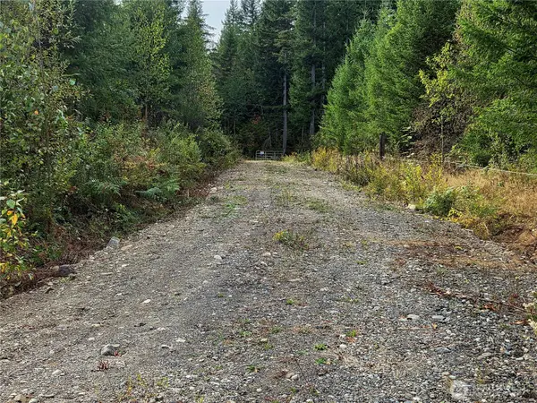 0 Heady Road, Maple Falls, WA 98266