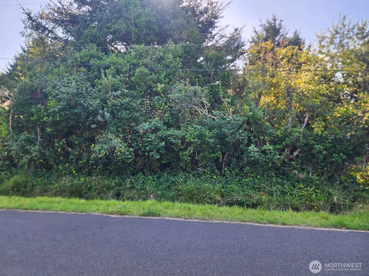 307 Centaurus Avenue Sw #238, Ocean Shores, WA 98569 - #1