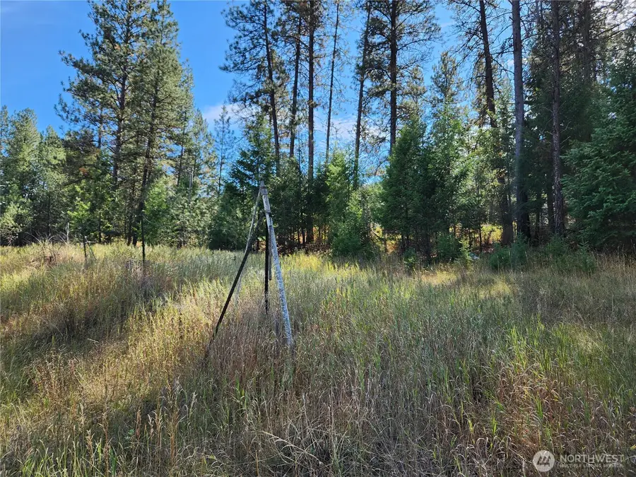 0 Pine Grove Street, Republic, WA 99166 - #2