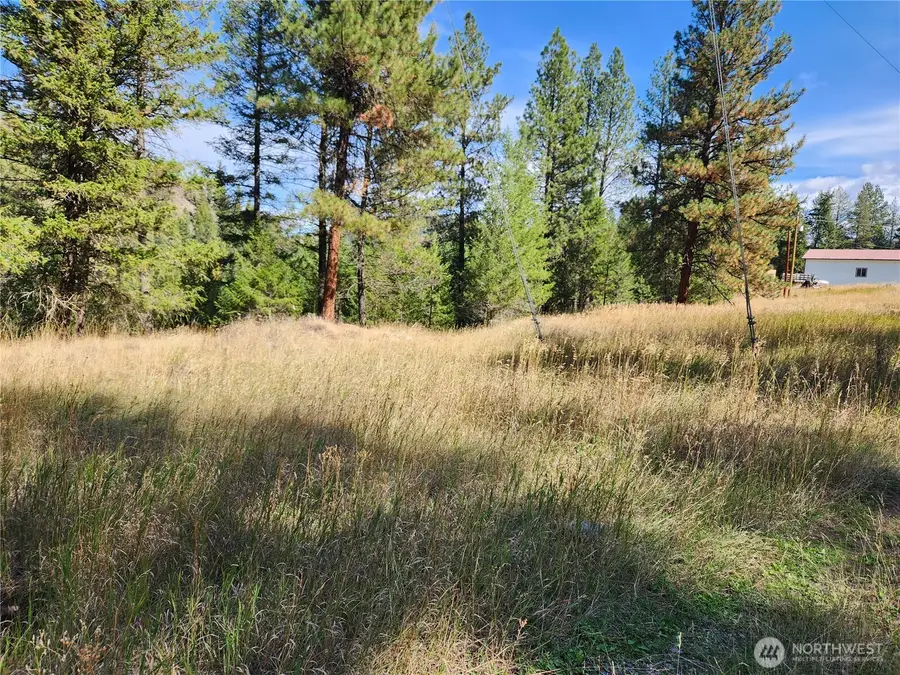 0 Pine Grove Street, Republic, WA 99166 - #3