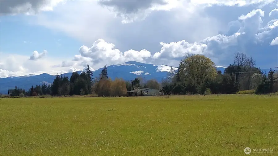 581 Boistfort Rd, Curtis, WA 98538 - #2
