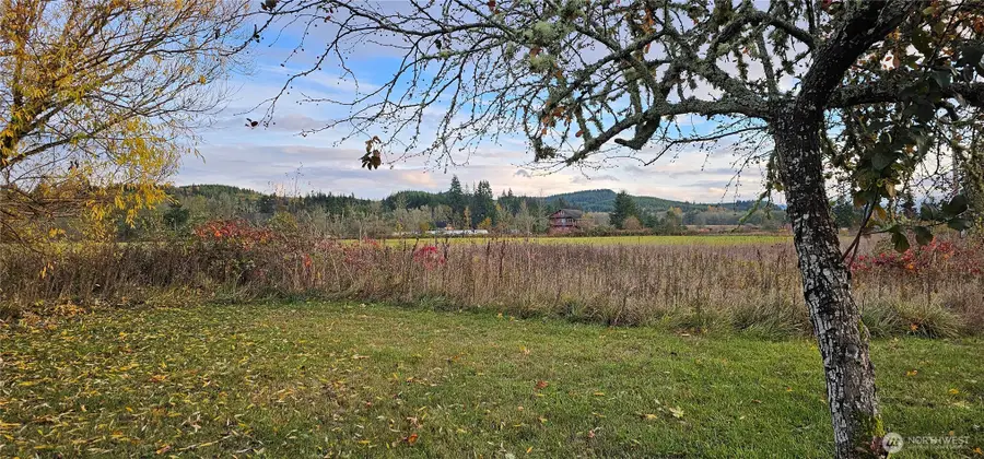 581 Boistfort Rd, Curtis, WA 98538 - #3