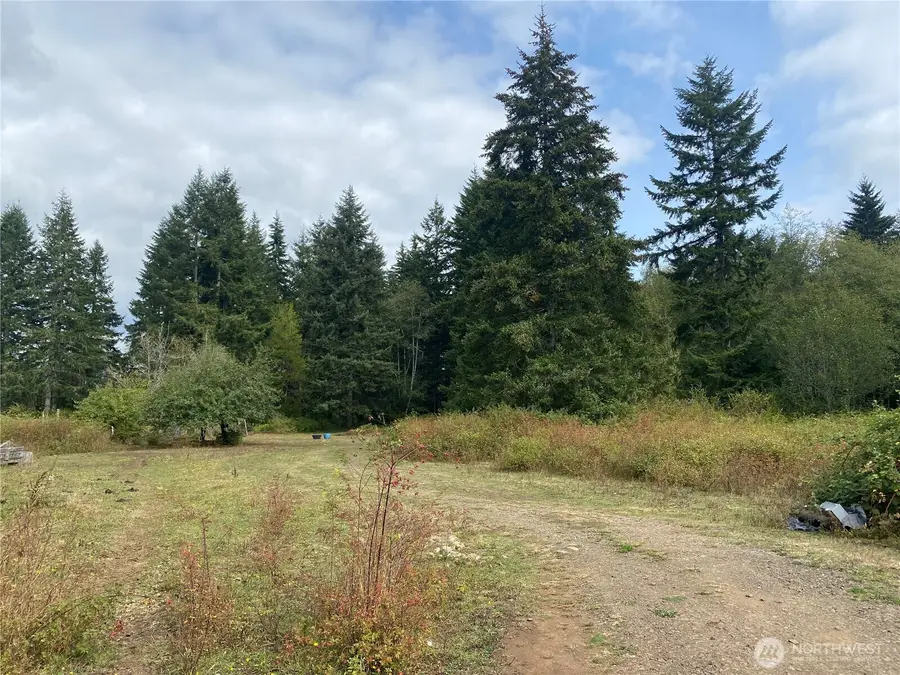 433 W Lucas Lane, Elma, WA 98541 - #3