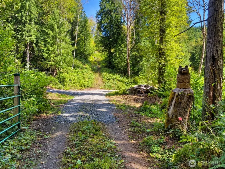661 Old Barn Road, Randle, WA 98377 - #3