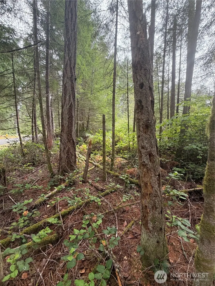 11928 Country Club Drive, Anderson Island, WA 98303 - #3