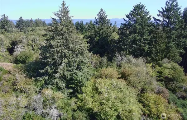 0 Oysterville Road #4, Oysterville, WA 98641