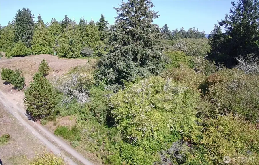 0 Oysterville Road #4, Oysterville, WA 98641 - #2