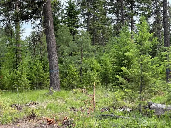 3600 Sheridan Road, Republic, WA 99166