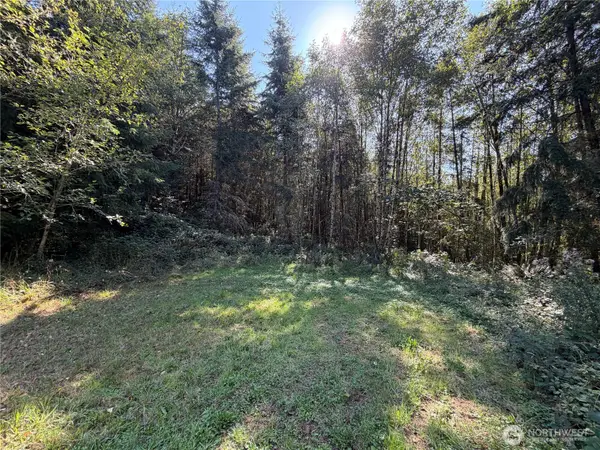 0 N Lot F Bodine Road, Kelso, WA 98626
