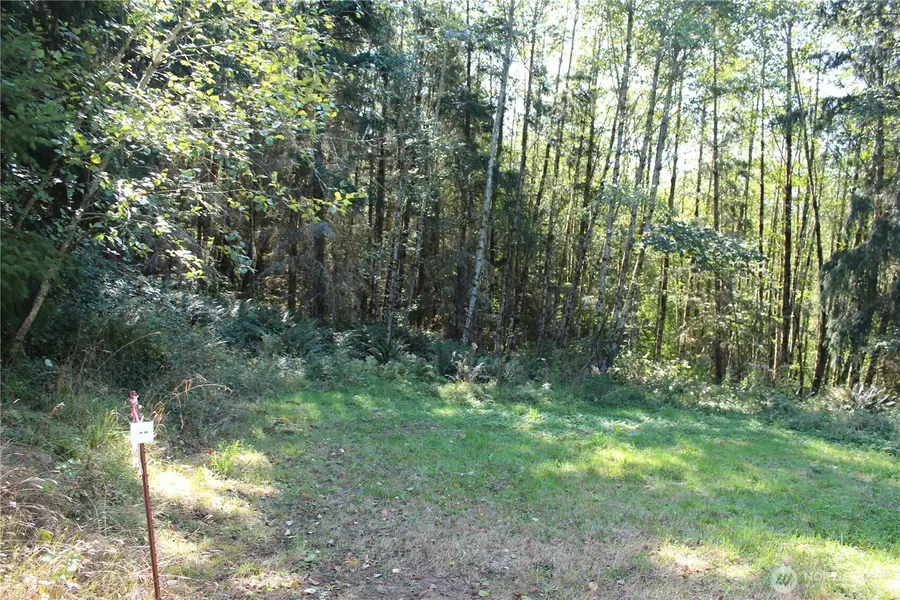 0 N Lot F Bodine Road, Kelso, WA 98626 - #2