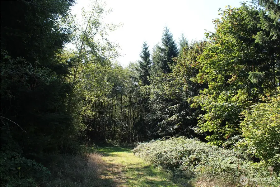 0 N Lot F Bodine Road, Kelso, WA 98626 - #3