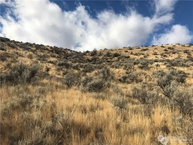 0 Goldfish Gulch Road, Waterville, WA 98802 - #1