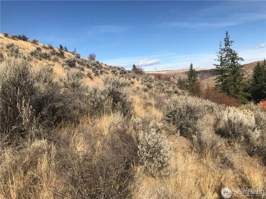 0 Goldfish Gulch Road, Waterville, WA 98802 - #2