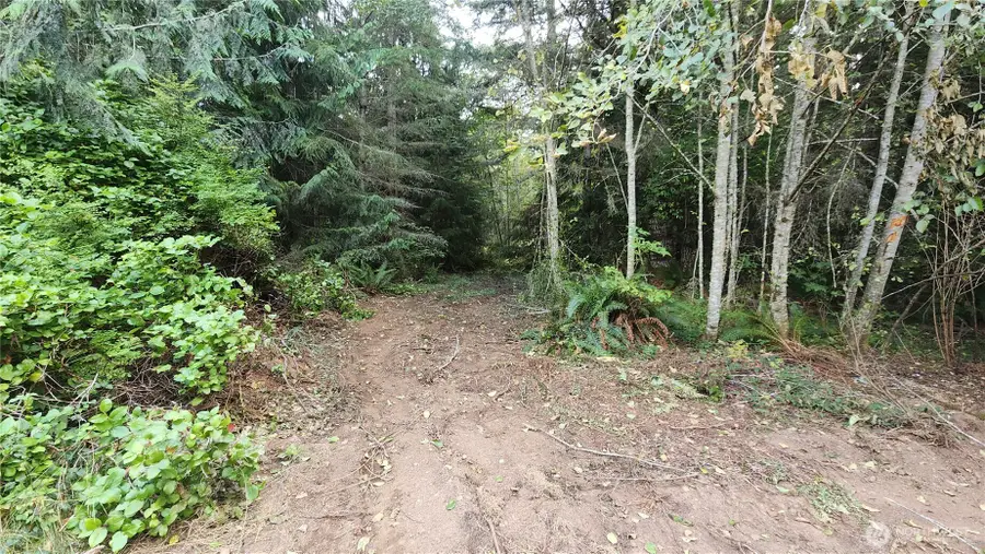 9999 Gossett Road, Port Angeles, WA 98363 - #2