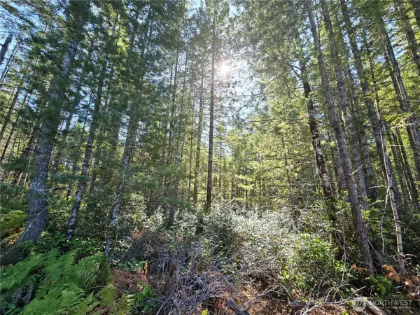 0 NE Dewatto Hills Road, Tahuya, WA 98588