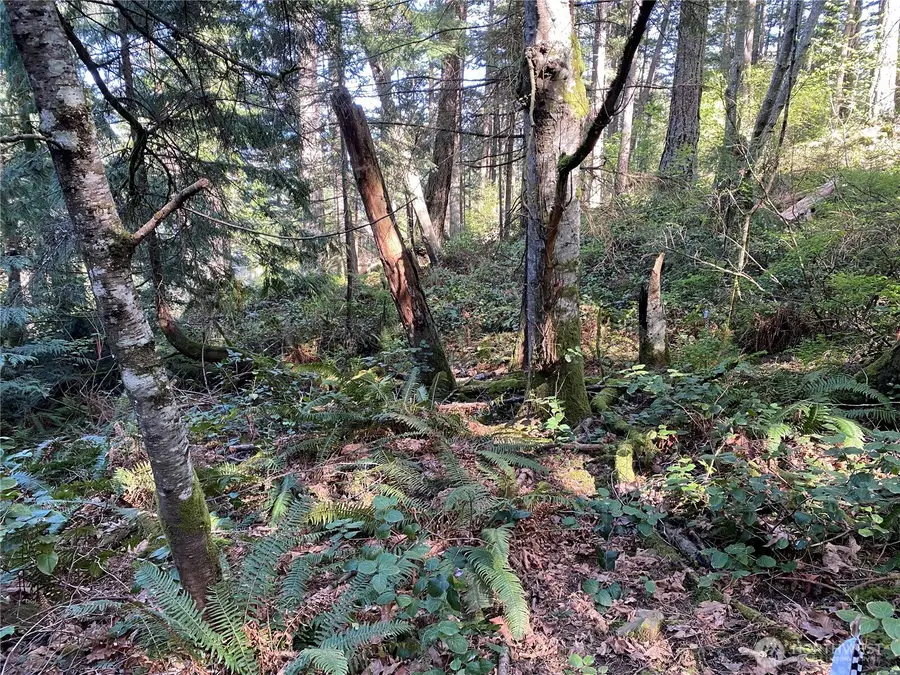 2861 Aiston Creek Rd #22 & 23, Lummi Island, WA 98262 - #2