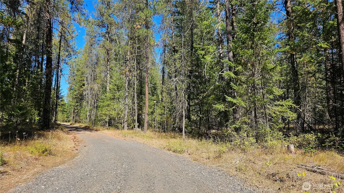385 Agar Road, Loon Lake, WA 99148 - #1