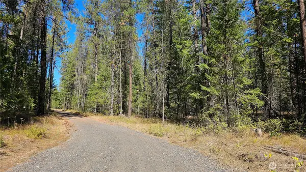 385 Agar Road, Loon Lake, WA 99148