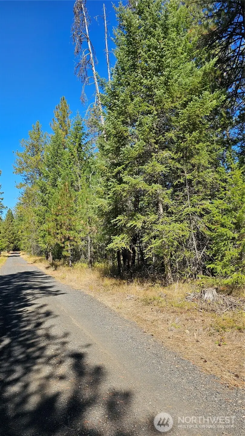 385 Agar Road, Loon Lake, WA 99148 - #2