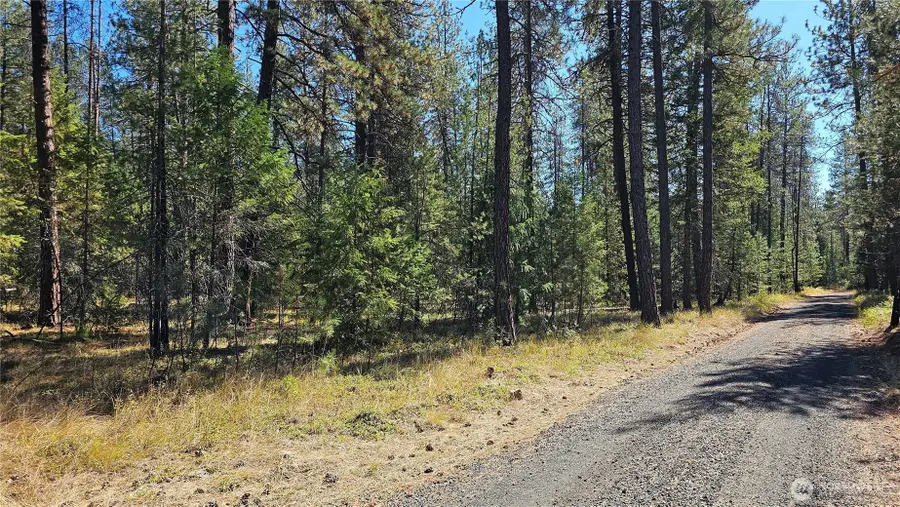 385 Agar Road, Loon Lake, WA 99148 - #3