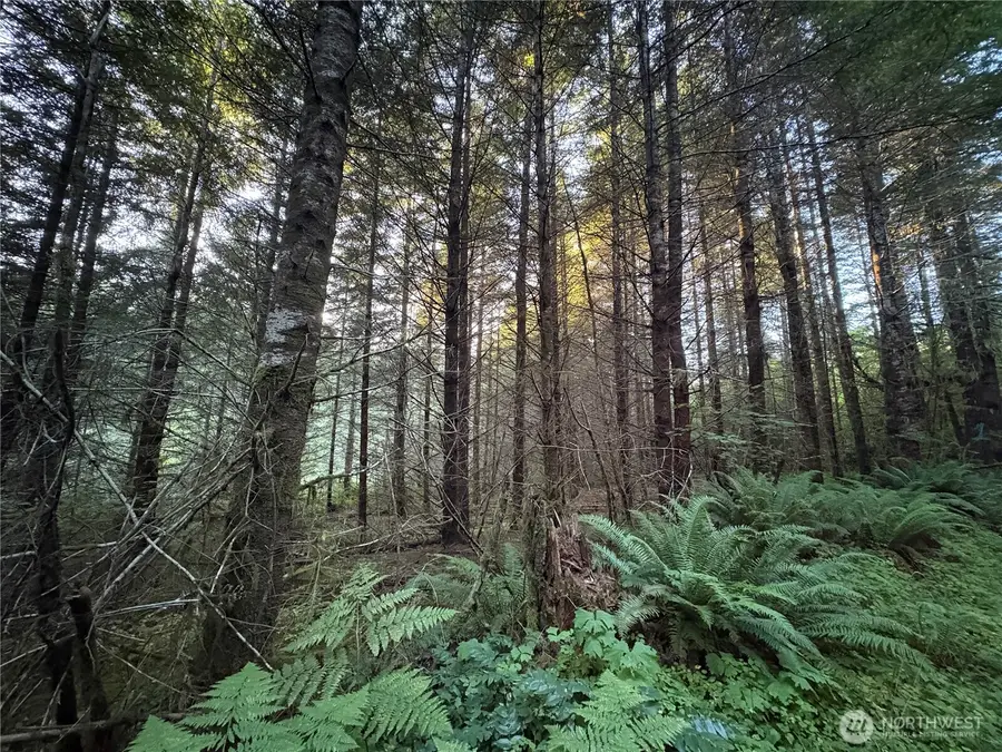 0 Wiest Road, Longview, WA 98632 - #3