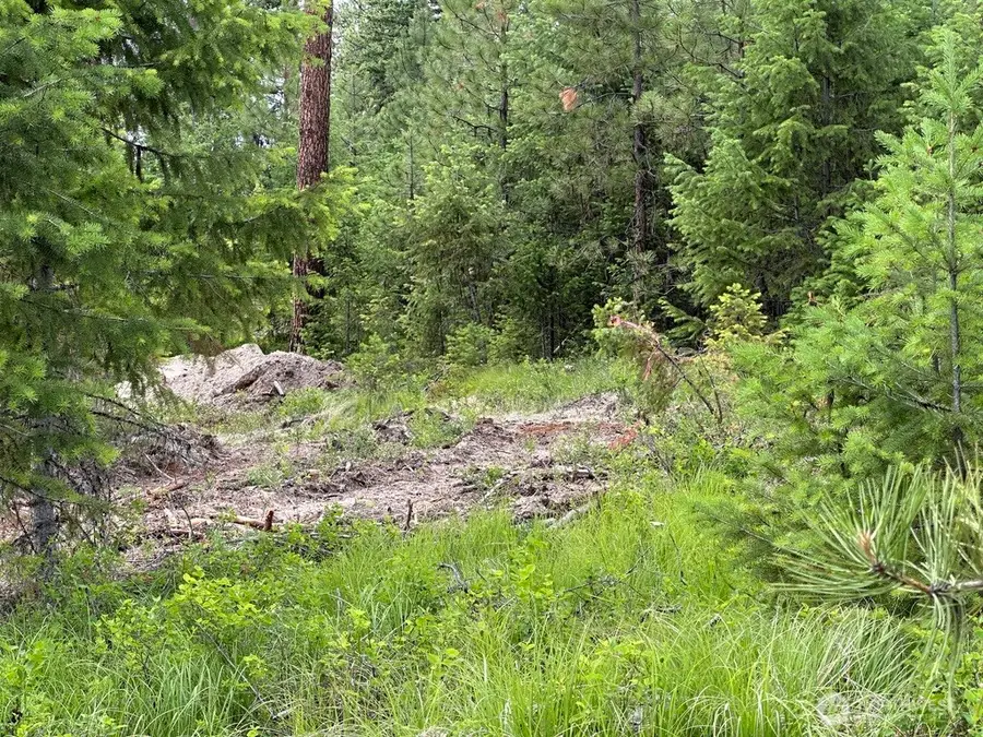 3600 Sheridan Road, Republic, WA 99166 - #2