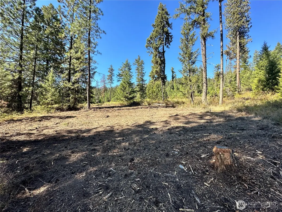 1 Lot 1 Deadman Creek Rd, Kettle Falls, WA 99141 - #1
