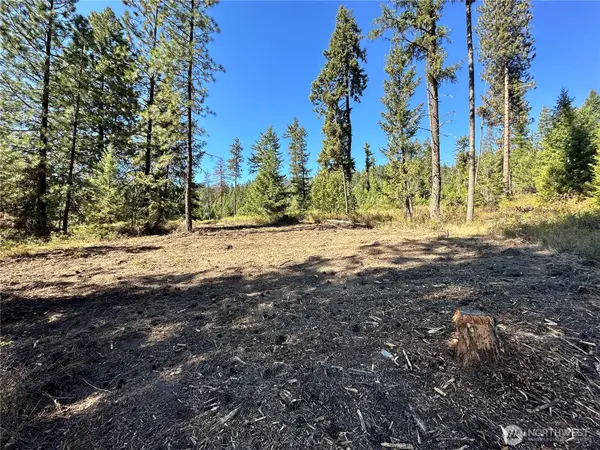 1 Lot 1 Deadman Creek Rd, Kettle Falls, WA 99141