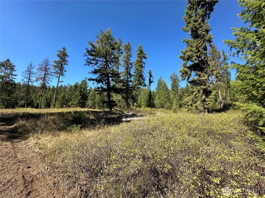 1 Lot 1 Deadman Creek Rd, Kettle Falls, WA 99141 - #2