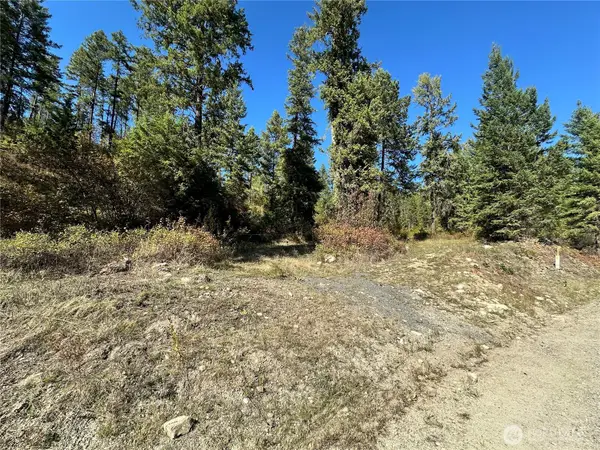 3 Lot 3 Deadman Creek Rd, Kettle Falls, WA 99141