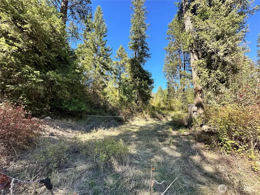 3 Lot 3 Deadman Creek Rd, Kettle Falls, WA 99141 - #2