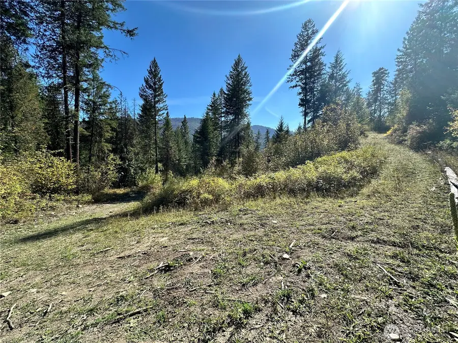 3 Lot 3 Deadman Creek Rd, Kettle Falls, WA 99141 - #3