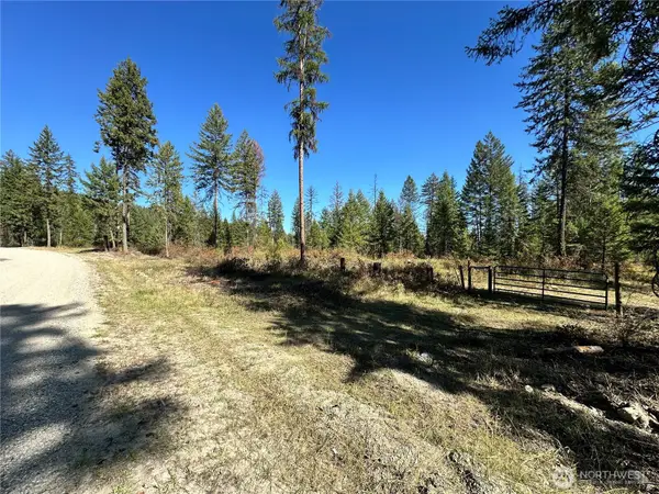 4 Lot 4 Deadman Creek Rd, Kettle Falls, WA 99141