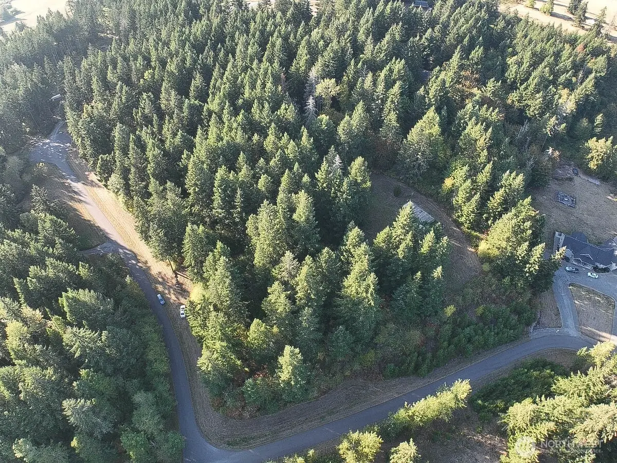 12626 Gilling Lane Se, Yelm, WA 98597 - #1