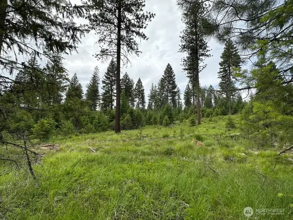 3600 Sheridan Road, Republic, WA 99166