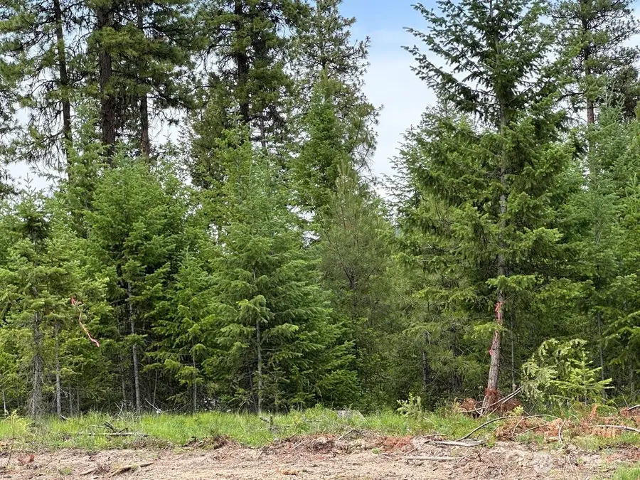 3600 Sheridan Road, Republic, WA 99166 - #2