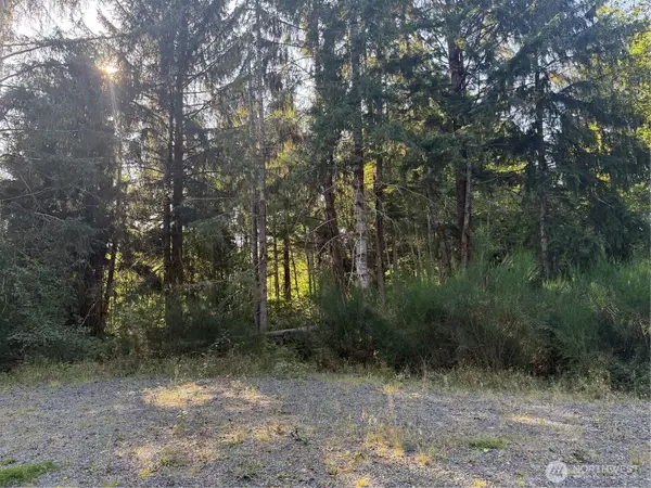 99918 Thomas Court #18, Forks, WA 98331