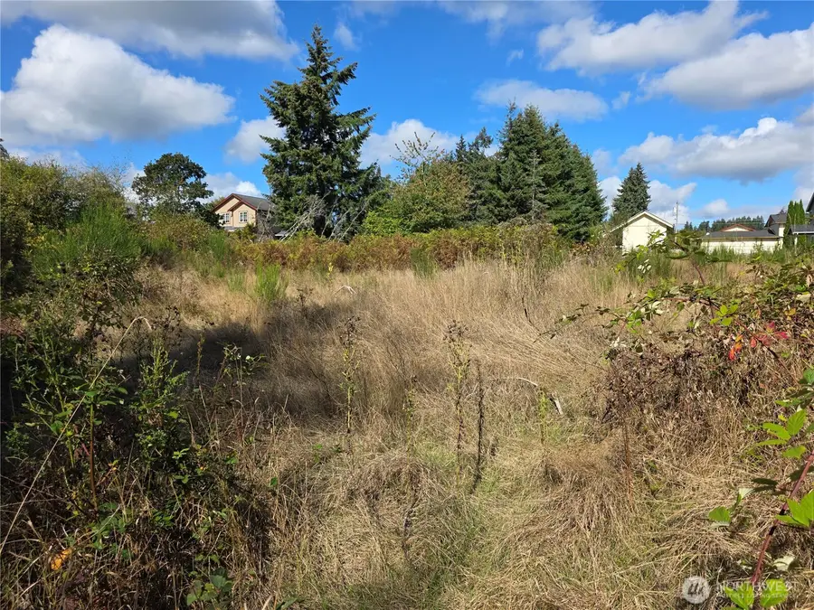 400 Marion Street S, Tenino, WA 98589 - #2