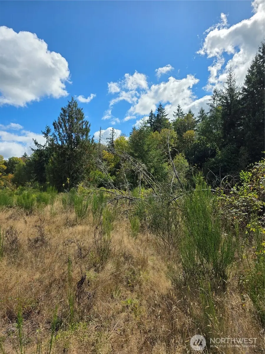 400 Marion Street S, Tenino, WA 98589 - #3