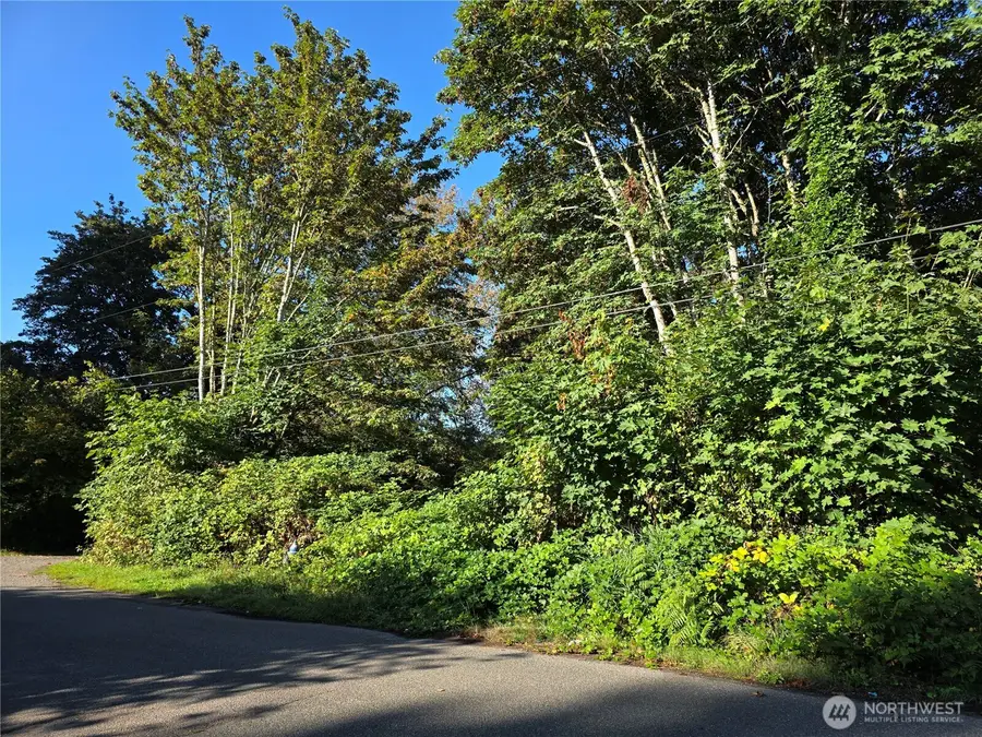 0 Huston Street, Tenino, WA 98589 - #2