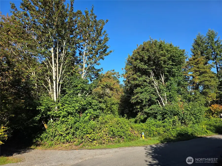 0 Huston Street, Tenino, WA 98589 - #3