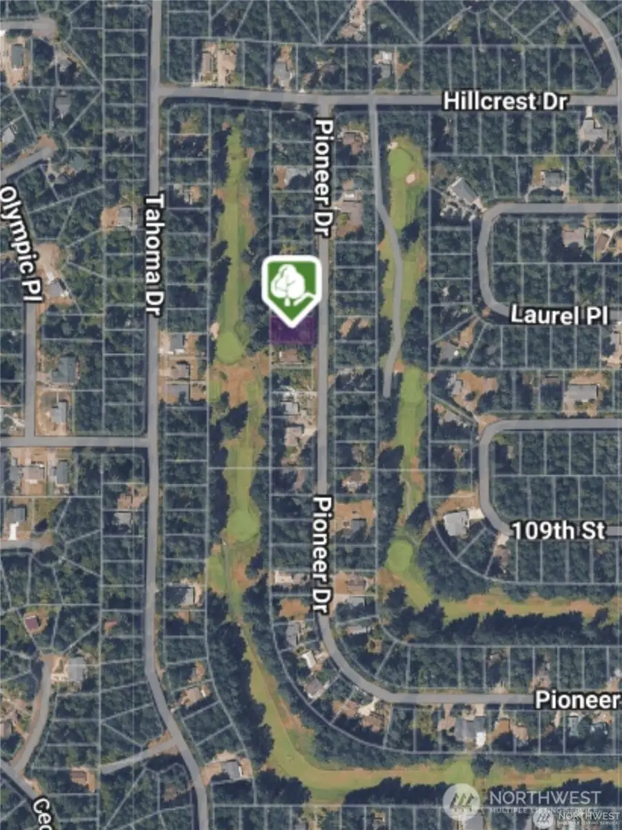 10702 Pioneer Drive, Anderson Island, WA 98303 - #1